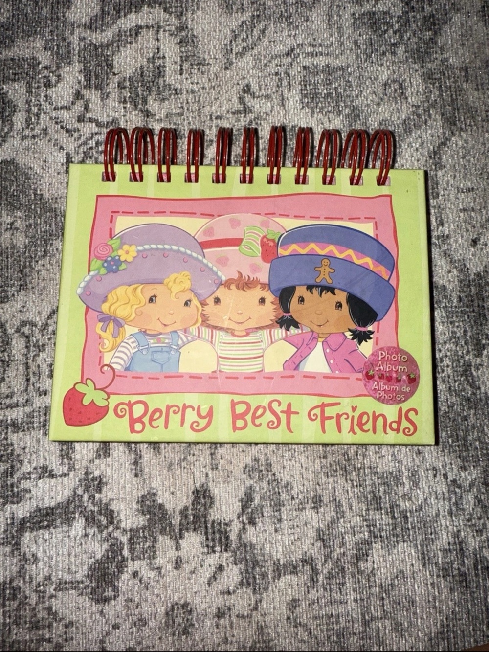 Vintage strawberry shortcake,Berry Best Friends Pinkt & Green Spiral Photo Album